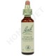 Bach Flower Remedies for Animals - Star of Bethlehem